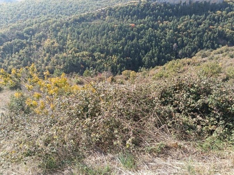 Foto 14f4f8f7-0d31-4c6c-b845-c50754d08950. Finca rústica a Aisa