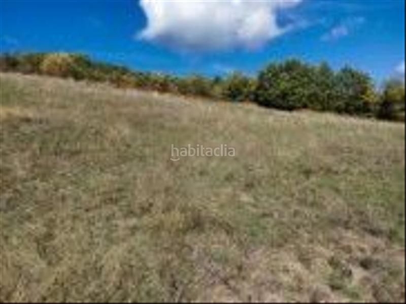 Foto 286fdc82-bbd9-48de-8b89-a95db3cd1c02. Finca rústica a Aisa