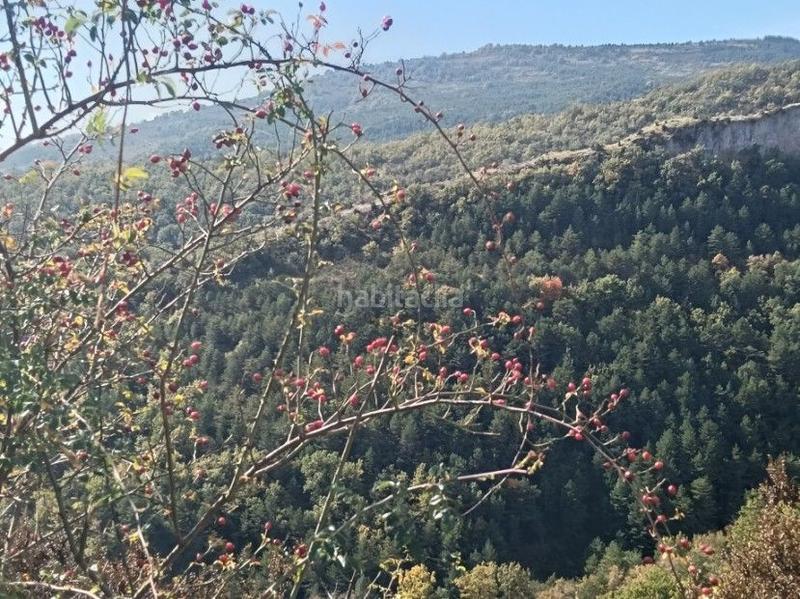 Foto 447f030b-c091-464d-bb4d-f4cd3a904e27. Finca rústica a Aisa