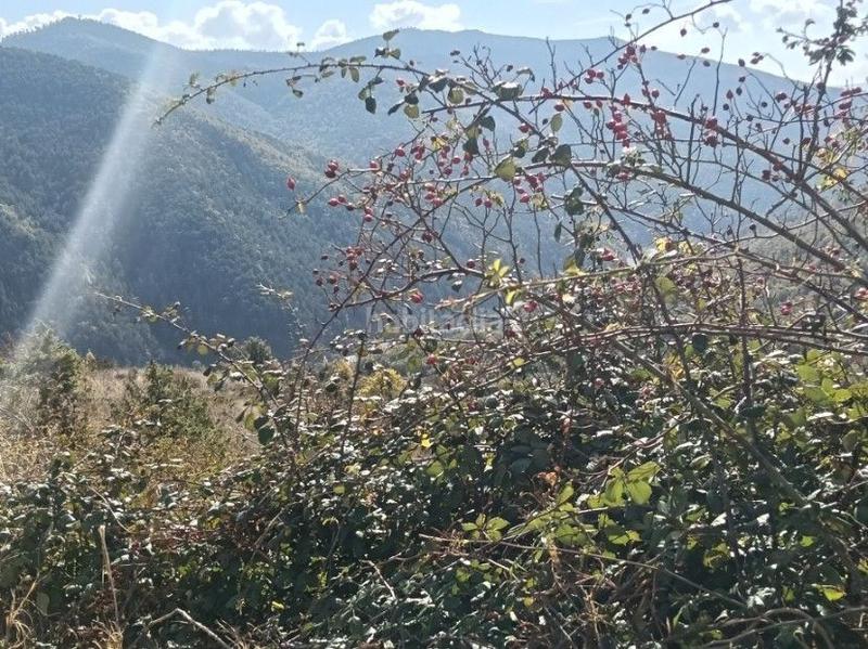 Foto 85b72972-6eb8-41ec-a179-d5c8e3de0971. Finca rústica a Aisa