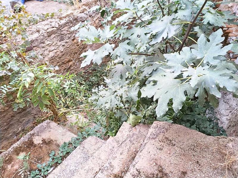 Foto 3b20cd65-e991-460b-8863-95a57bac7f18. Casale in Terrer