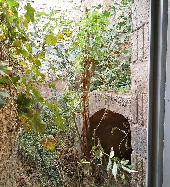 Foto 3e53e5cc-b9c3-450f-a73c-b848ea0626a9. Casale in Terrer