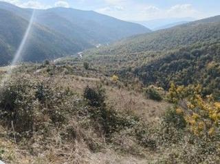 Fondo rustico  El solano