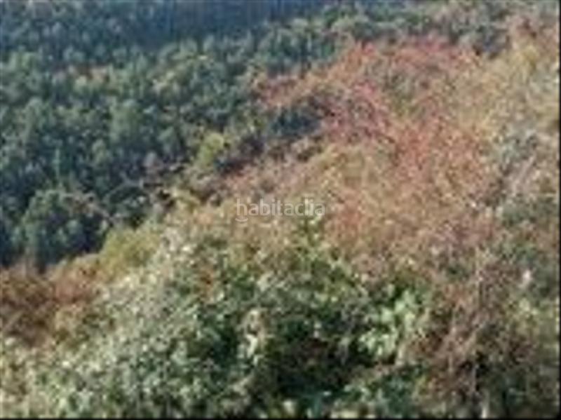 Foto 183456bb-3e7a-4aae-9574-136057cf3b5c. Finca rústica a Aisa