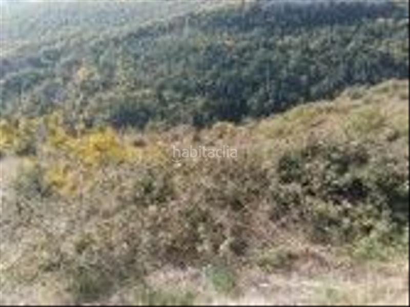 Foto 92e9994e-3dab-424b-a2b0-9238fdc33f3e. Finca rústica a Aisa