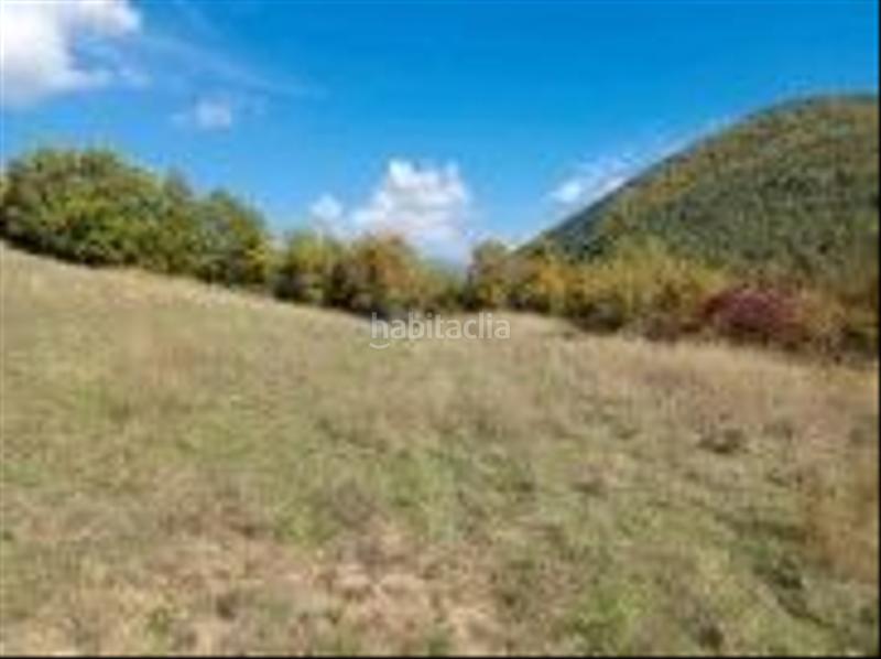 Foto 96942a03-1a60-41bf-b9ab-db1b6cc6e510. Finca rústica a Aisa