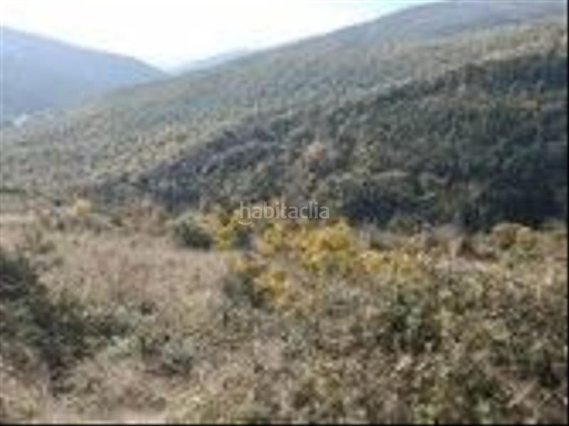 Foto b45357ff-cb71-4e5f-8b2d-962b57cd0a63. Finca rústica a Aisa