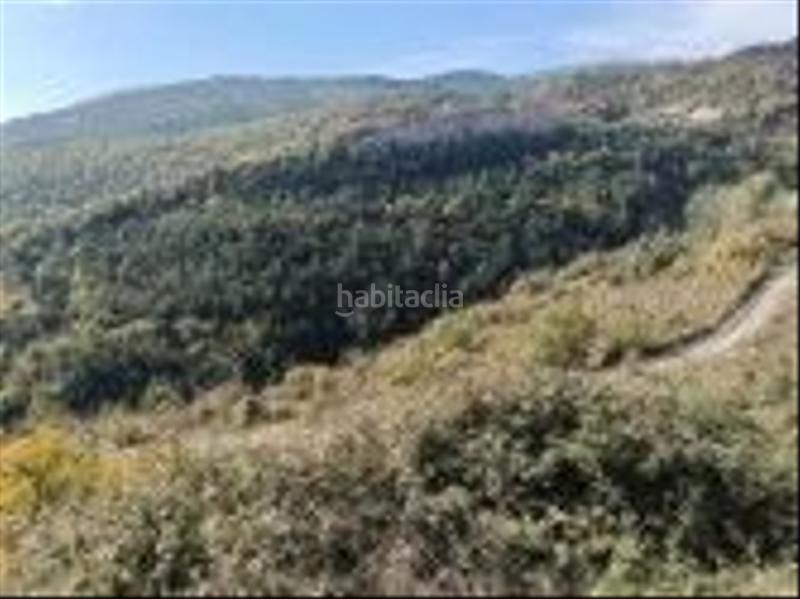 Foto c79bb2b6-fcf1-4d86-a545-cf0d24f31ed9. Finca rústica a Aisa