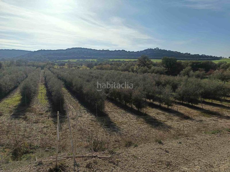 Foto 452fac6d-9675-4a10-a2d9-1c1b6a625784. Fondo rustico in Estadilla