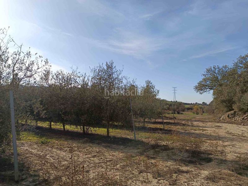 Foto 9133e872-519d-4ab0-bff0-93e9359f5a27. Fondo rustico in Estadilla