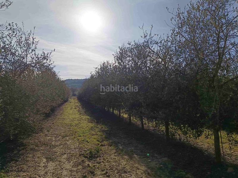 Foto fb137a95-e112-4677-9c19-82c5d56557ca. Fondo rustico in Estadilla