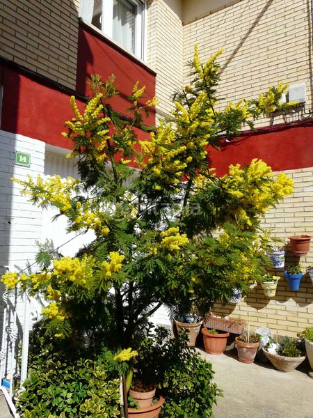 Foto 2c17fb03-4463-4210-99da-757721762689. Casa adossada amb calefacció aparcament a Cascante