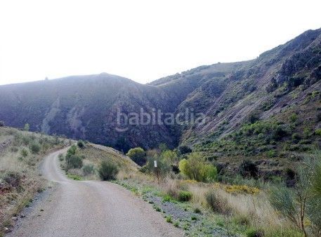 Foto ad6c81bd-defb-44cf-aaeb-93b3a89768c3. Masia a Brea de Aragón