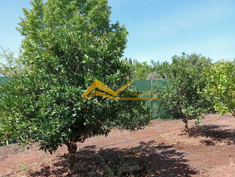 Foto 907d29a7-f92d-4ac5-86fb-eda52ed624b6. Haus in Guarromán