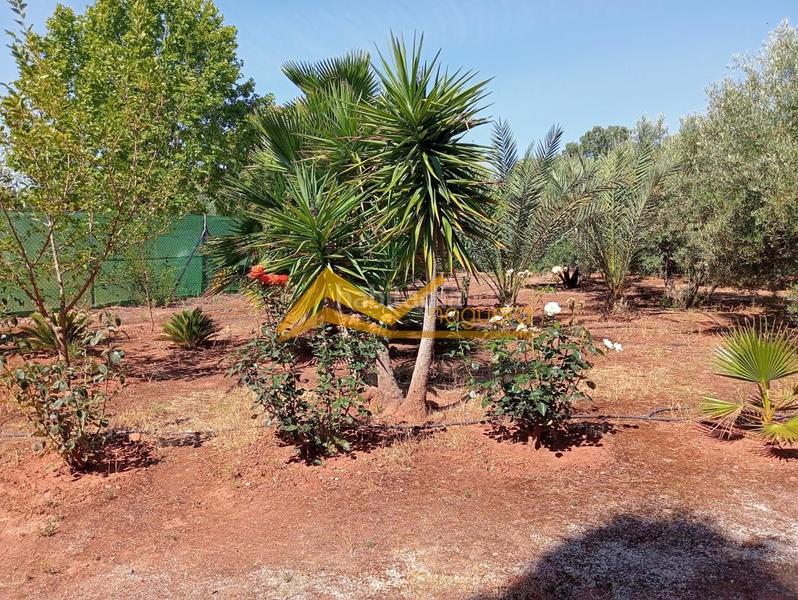 Foto c745721c-49df-47fb-b0d2-6c7b90147072. Haus in Guarromán