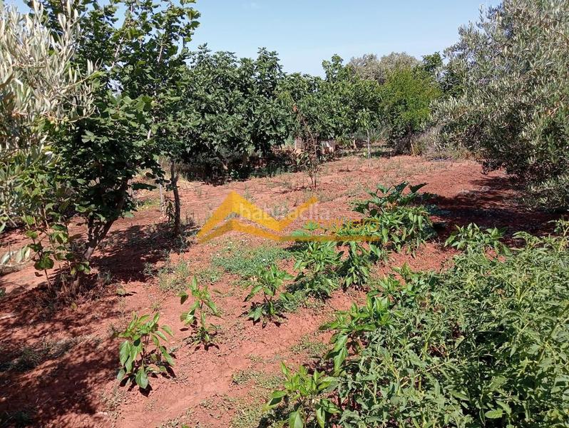 Foto f59dcd2d-f590-4960-838e-75f4ef111f86. Haus in Guarromán