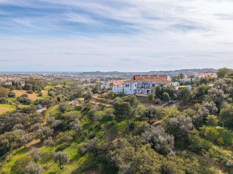 Foto 3d30cd30-ccc6-45a9-88b1-161f790f8e4a. Chalet dans urbanizacion loma del flamenco dans Mijas golf Mijas