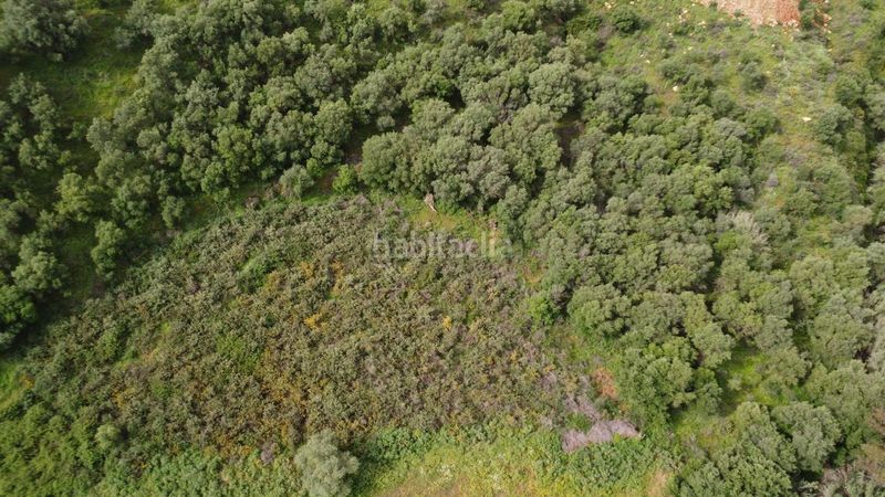 Foto 081ad488-0761-4026-af27-ee79bc070d9f. Finca rústica en Mijas 6 parcela rústica con casa de aperos, a tan solo minutos del centro de la ciudad y de la playa. con amplias vistas al mar y la monta en Mijas