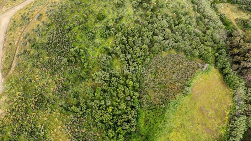 Foto b127449f-5a28-4834-a32d-077ccccf4703. Finca rústica en Mijas 6 parcela rústica con casa de aperos, a tan solo minutos del centro de la ciudad y de la playa. con amplias vistas al mar y la monta en Mijas