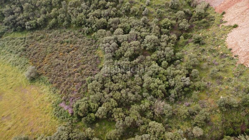 Foto e5c9b420-b7d7-4788-ae91-4dfcddac6820. Finca rústica en Mijas 6 parcela rústica con casa de aperos, a tan solo minutos del centro de la ciudad y de la playa. con amplias vistas al mar y la monta en Mijas