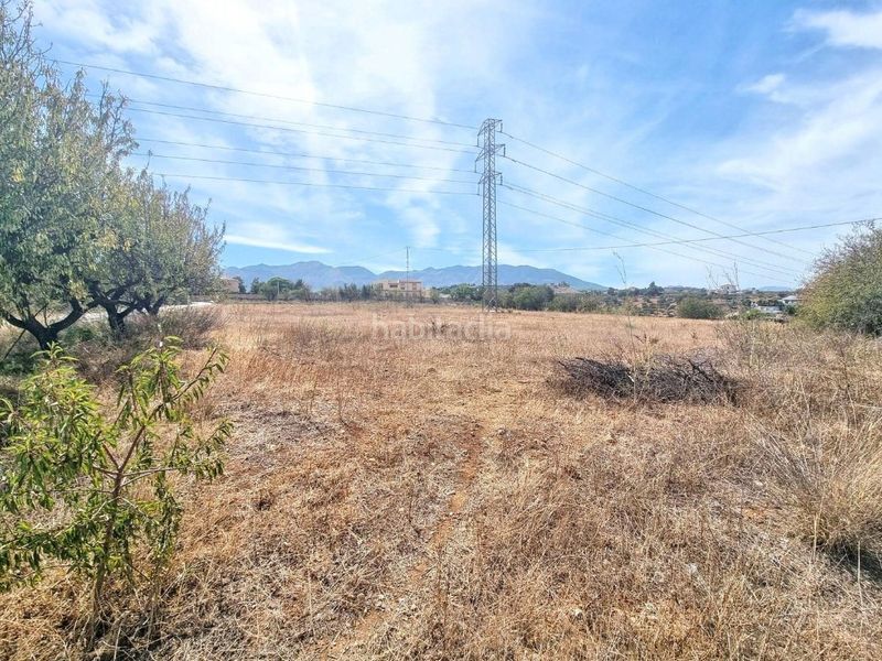 Foto 1dff0e0e-e00a-4062-b988-ad14f6033895. Finca rústica a Alquería-Torrealquería Alhaurín de la Torre