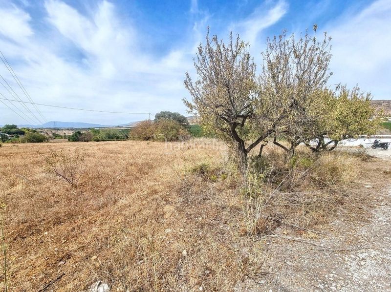 Foto 9074111c-cac4-46d4-9477-963b0238bc19. Finca rústica a Alquería-Torrealquería Alhaurín de la Torre