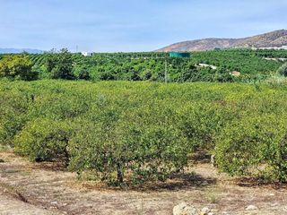 Fondo rustico in Alquería-Torrealquería. Terreno en venta en del palmar, alhaurín de la torre