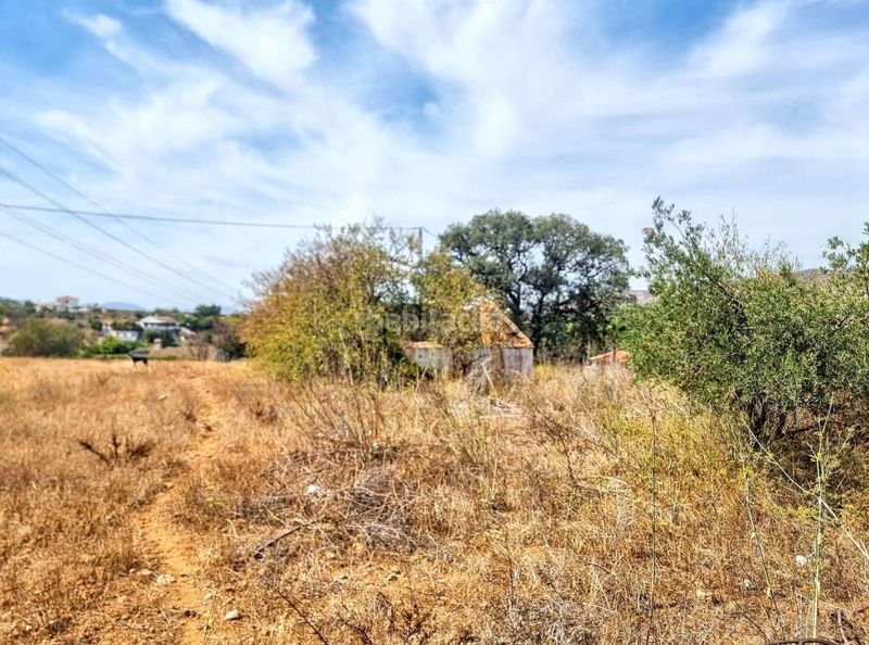Foto cce3d690-806e-45f5-b5b2-cba20dc8ac26. Finca rústica a Alquería-Torrealquería Alhaurín de la Torre