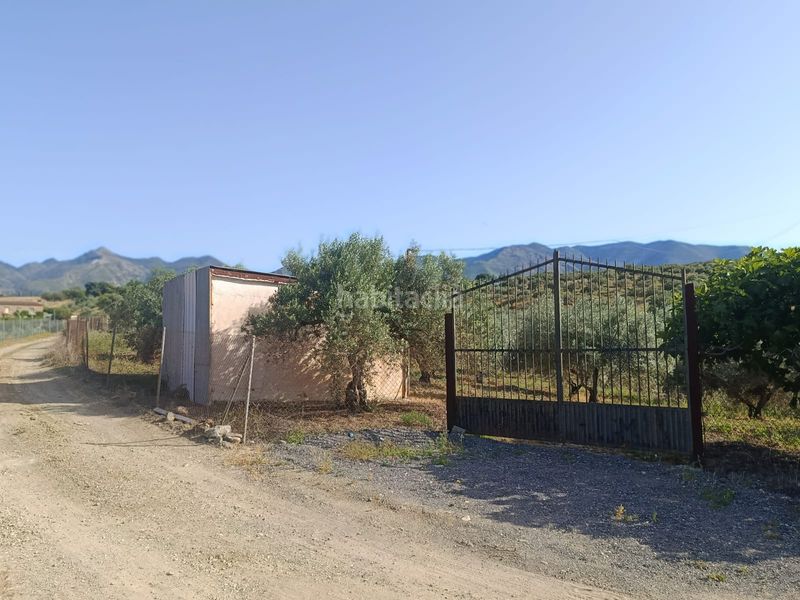 Foto 135a700c-2309-4b64-badd-9f8b11218922. Finca rústica a Alquería-Torrealquería Alhaurín de la Torre
