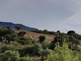 Finca rústica en Alquería-Torrealquería