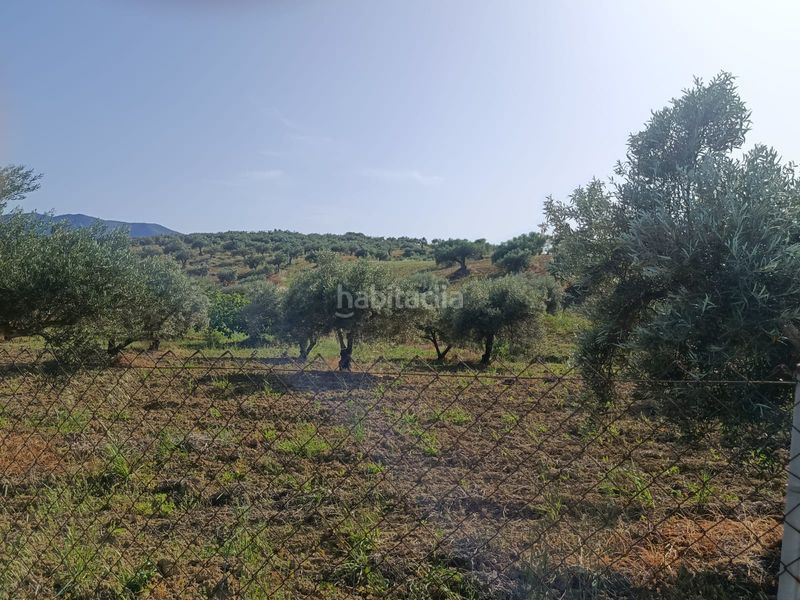 Foto 73f4804c-6665-4e76-843c-987e06ff4923. Finca rústica a Alquería-Torrealquería Alhaurín de la Torre