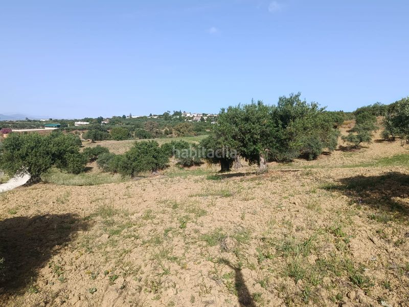 Foto aee26395-eebe-47e5-9f3f-a28acc88c701. Finca rústica a Alquería-Torrealquería Alhaurín de la Torre