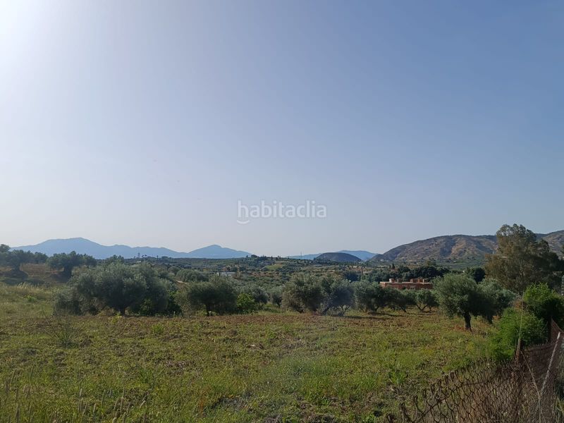 Foto d3f1a7c2-8ef3-401e-a874-bbc8901306cc. Finca rústica a Alquería-Torrealquería Alhaurín de la Torre