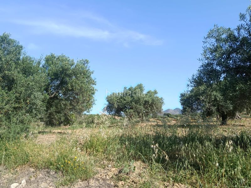 Foto de7c034c-4b46-4db5-9f1b-36c35ff7f058. Finca rústica a Alquería-Torrealquería Alhaurín de la Torre
