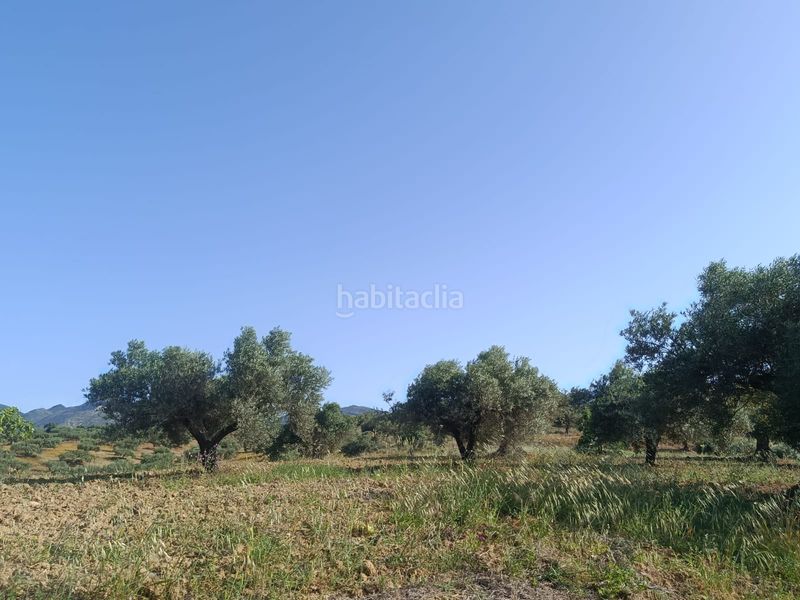 Foto e9a57d0b-09a9-4d43-a30c-e11472103e10. Finca rústica a Alquería-Torrealquería Alhaurín de la Torre
