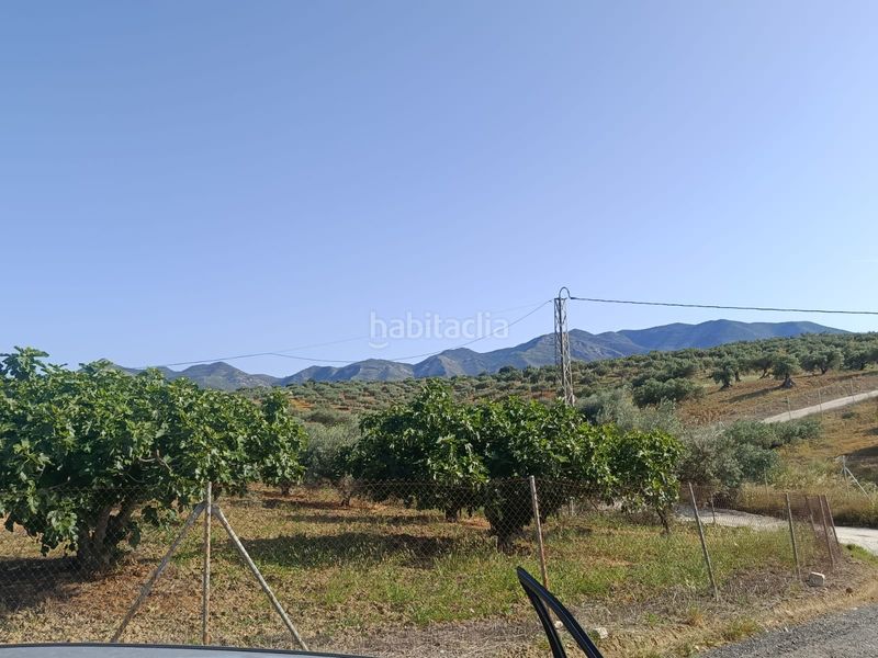 Foto fec1b6c0-375f-4da4-85cf-bc9cde6fb903. Finca rústica a Alquería-Torrealquería Alhaurín de la Torre