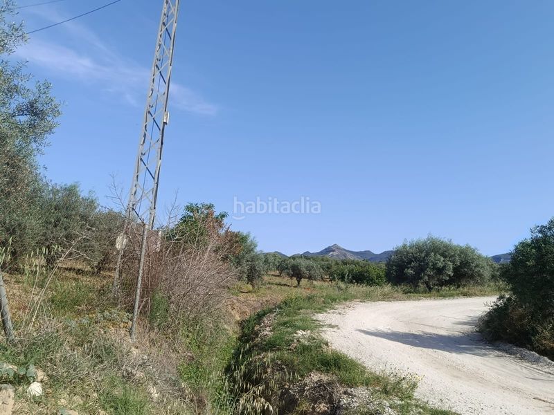 Foto ffb414a6-55b4-4d03-a4c6-a6720ac91b8b. Finca rústica a Alquería-Torrealquería Alhaurín de la Torre