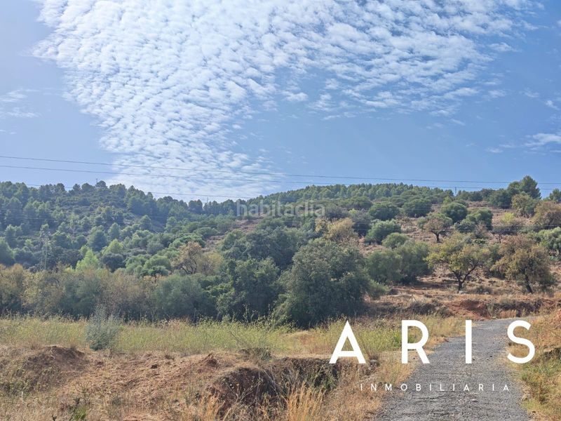 Foto 4c0ea62e-9bce-4afd-bdb0-cdbf39e4a12e. Finca rústica a Platero - El Limón Alhaurín de la Torre