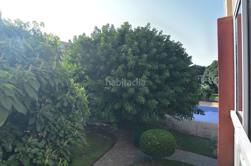 Foto f11a811a-7b66-44a6-aeb3-9cf021b28dbe. Estudi a Parque de la Paloma Benalmádena