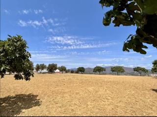 Fondo rustico in Mijas Golf. Fabulosa finca  núcleo zoológico a 5 minutos de zona de servicio