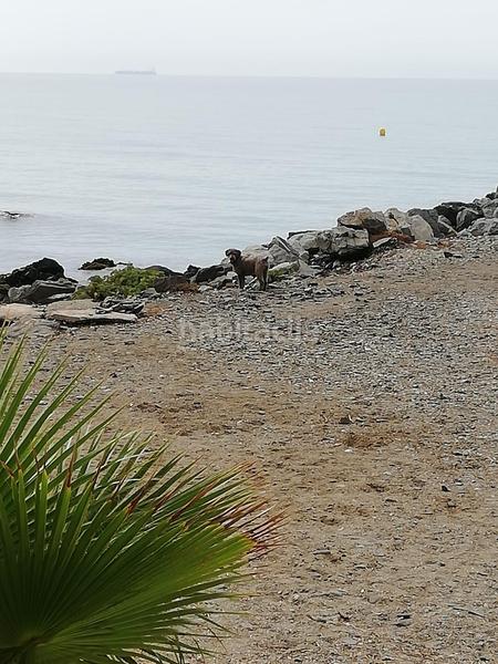 Foto 46f5a7dd-221c-4412-a3c0-6e48f477c7d9. Piso  en la mismísima playa en torremuelle en Benalmádena