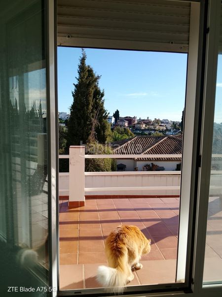 Foto aa957860-1bf1-44c1-9a55-5d0a8200edc9. Xalet amb aparcament piscina a campo de Mijas Mijas