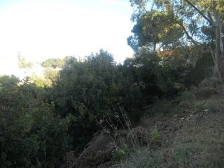 Terreny residencial a Torreblanca del Sol. Parcela urbana para chalet independiente o casas pareadas 539m2