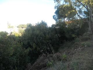 Terrain résidentiel à Torreblanca del Sol. Parcela urbana para chalet independiente o casas pareadas