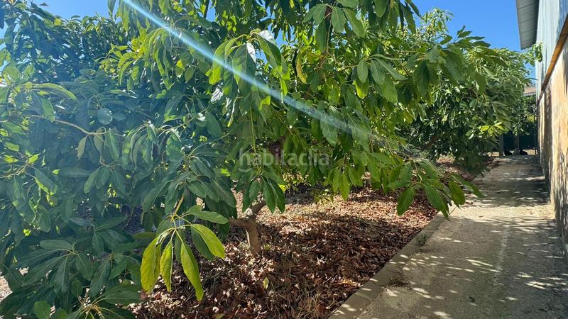 Foto 66be695a-a590-4c1b-aedf-c1847d0d4634. Propriété dans Capellanía - Retamar Alhaurín de la Torre