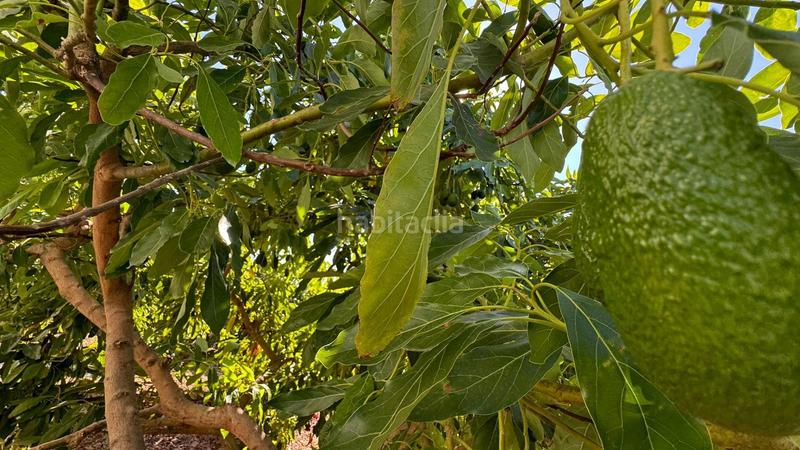 Foto 6e22dddc-051f-4399-b2e8-f74e98c39a84. Propriété dans Capellanía - Retamar Alhaurín de la Torre