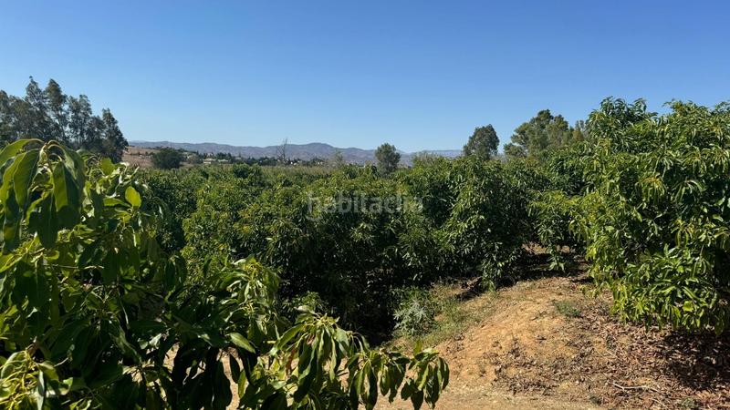 Foto fab4ee8d-e978-4671-828a-aa6b911768a4. Propriété dans Capellanía - Retamar Alhaurín de la Torre