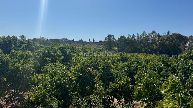 Foto fde3499c-954a-411a-bcd5-b0ee1154f8a4. Propriété dans Capellanía - Retamar Alhaurín de la Torre