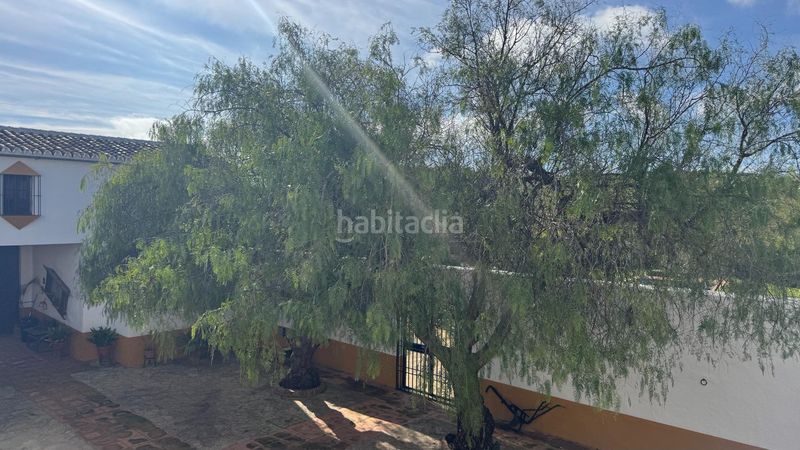 Foto d04bc5bf-8ea5-4962-b3c5-590cdfc37027. Masia amb aparcament piscina a Teba
