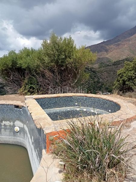 Foto 759dc37b-4ac0-46cd-865d-906bce512436. Finca rústica a Centro Estepona